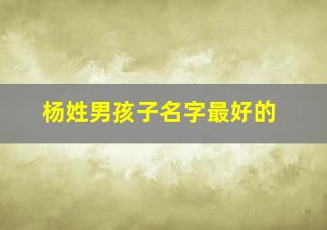 杨姓男孩子名字最好的