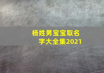 杨姓男宝宝取名字大全集2021