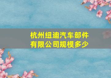 杭州纽迪汽车部件有限公司规模多少