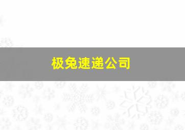 极兔速递公司