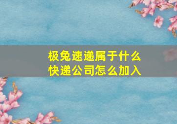 极兔速递属于什么快递公司怎么加入