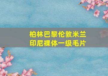 柏林巴黎伦敦米兰印尼裸体一级毛片