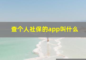 查个人社保的app叫什么