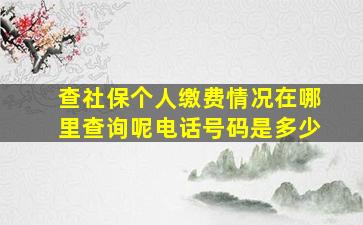 查社保个人缴费情况在哪里查询呢电话号码是多少