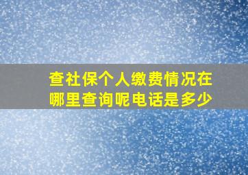 查社保个人缴费情况在哪里查询呢电话是多少