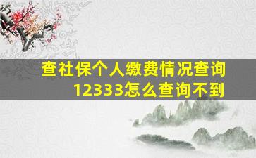 查社保个人缴费情况查询12333怎么查询不到