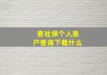 查社保个人账户查询下载什么