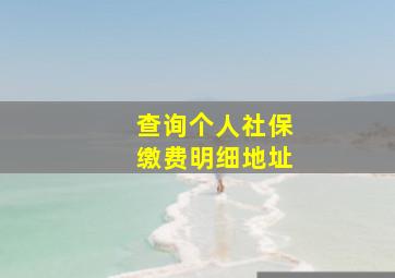 查询个人社保缴费明细地址