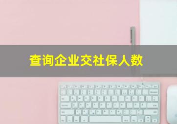 查询企业交社保人数