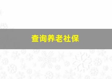 查询养老社保