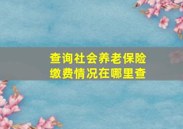 查询社会养老保险缴费情况在哪里查