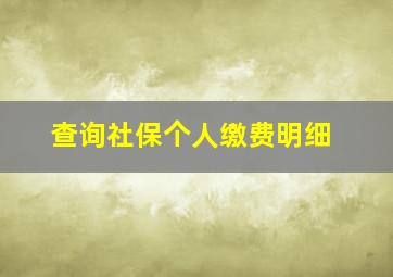 查询社保个人缴费明细