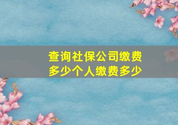 查询社保公司缴费多少个人缴费多少