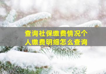 查询社保缴费情况个人缴费明细怎么查询