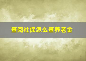 查阅社保怎么查养老金