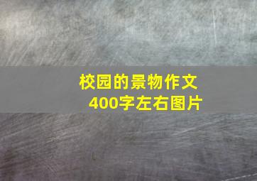 校园的景物作文400字左右图片