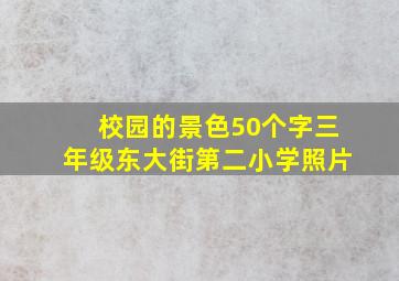 校园的景色50个字三年级东大街第二小学照片