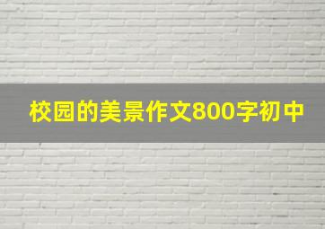 校园的美景作文800字初中