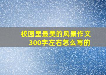 校园里最美的风景作文300字左右怎么写的