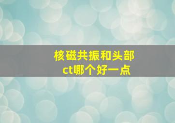 核磁共振和头部ct哪个好一点