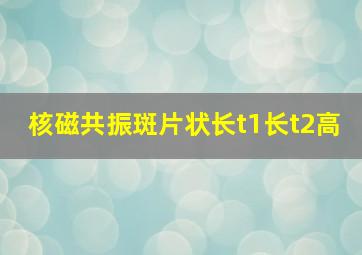 核磁共振斑片状长t1长t2高