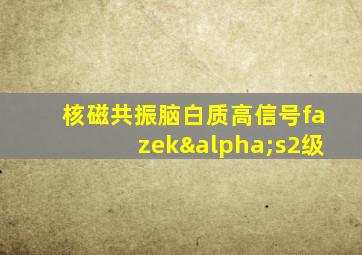 核磁共振脑白质高信号fazekαs2级