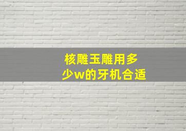 核雕玉雕用多少w的牙机合适