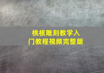 桃核雕刻教学入门教程视频完整版