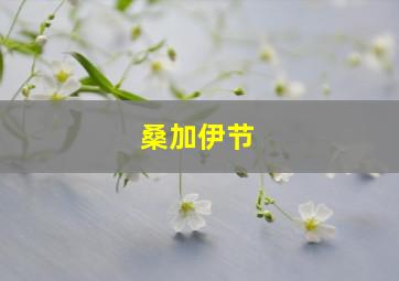 桑加伊节