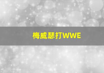 梅威瑟打WWE