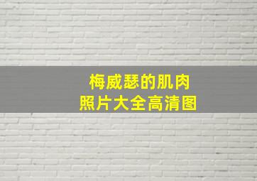 梅威瑟的肌肉照片大全高清图