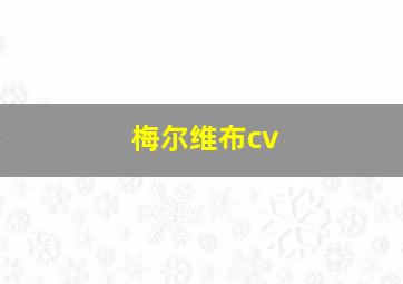 梅尔维布cv