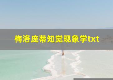 梅洛庞蒂知觉现象学txt