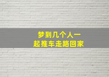 梦到几个人一起推车走路回家