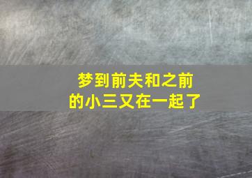 梦到前夫和之前的小三又在一起了