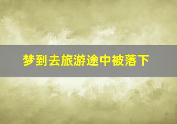 梦到去旅游途中被落下