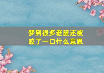 梦到很多老鼠还被咬了一口什么意思