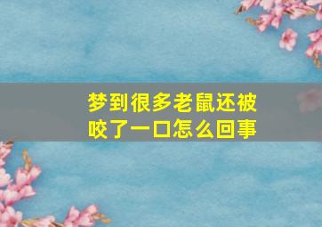 梦到很多老鼠还被咬了一口怎么回事