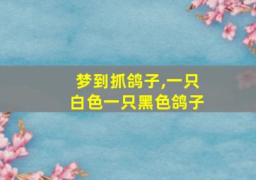 梦到抓鸽子,一只白色一只黑色鸽子