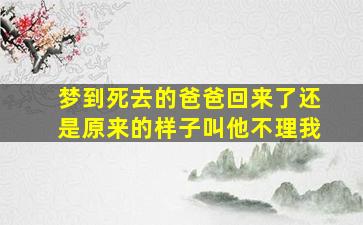 梦到死去的爸爸回来了还是原来的样子叫他不理我