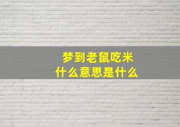 梦到老鼠吃米什么意思是什么