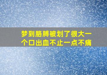 梦到胳膊被划了很大一个口出血不止一点不痛