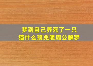 梦到自己养死了一只猫什么预兆呢周公解梦