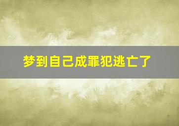 梦到自己成罪犯逃亡了