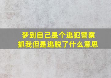 梦到自己是个逃犯警察抓我但是逃脱了什么意思