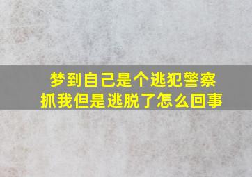 梦到自己是个逃犯警察抓我但是逃脱了怎么回事