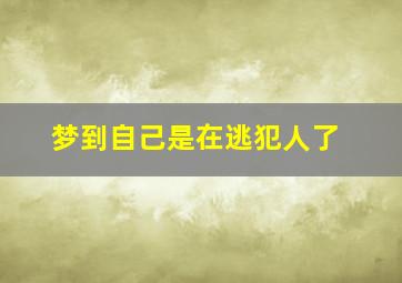 梦到自己是在逃犯人了