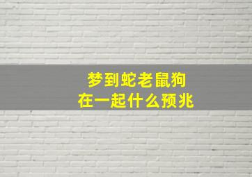 梦到蛇老鼠狗在一起什么预兆