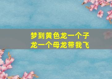 梦到黄色龙一个子龙一个母龙带我飞