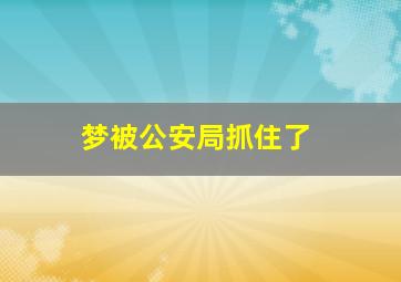 梦被公安局抓住了